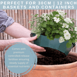 7 Colour Coordinated Plants - Effortless Chic Theme Speedplanter, Garden Ready - Frankton's
