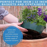 7 Colour Coordinated Plants - Sea Blues Theme Speedplanter, Garden Ready - Frankton's