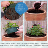 7 Colour Coordinated Plants - Sea Blues Theme Speedplanter, Garden Ready - Frankton's