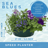 7 Colour Coordinated Plants - Sea Blues Theme Speedplanter, Garden Ready - Frankton's