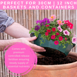 7 Colour Coordinated Plants - Sophistication Theme Speedplanter, Garden Ready - Frankton's