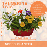 7 Colour Coordinated Plants - Tangerine Twist Theme Speedplanter, Garden Ready - Frankton's