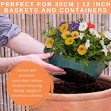 7 Colour Coordinated Plants - Tangerine Twist Theme Speedplanter, Garden Ready - Frankton's