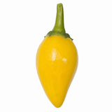 Chilli Pepper 25cm Hanging Basket, Peppers from Heaven, Pots - Frankton's