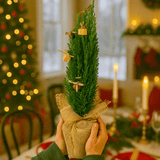 Christmas tree in Jute Sack with baubles - Frankton's