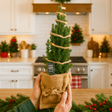 Christmas tree in sack with lights - Frankton's