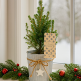 Christmas tree in white pot with star