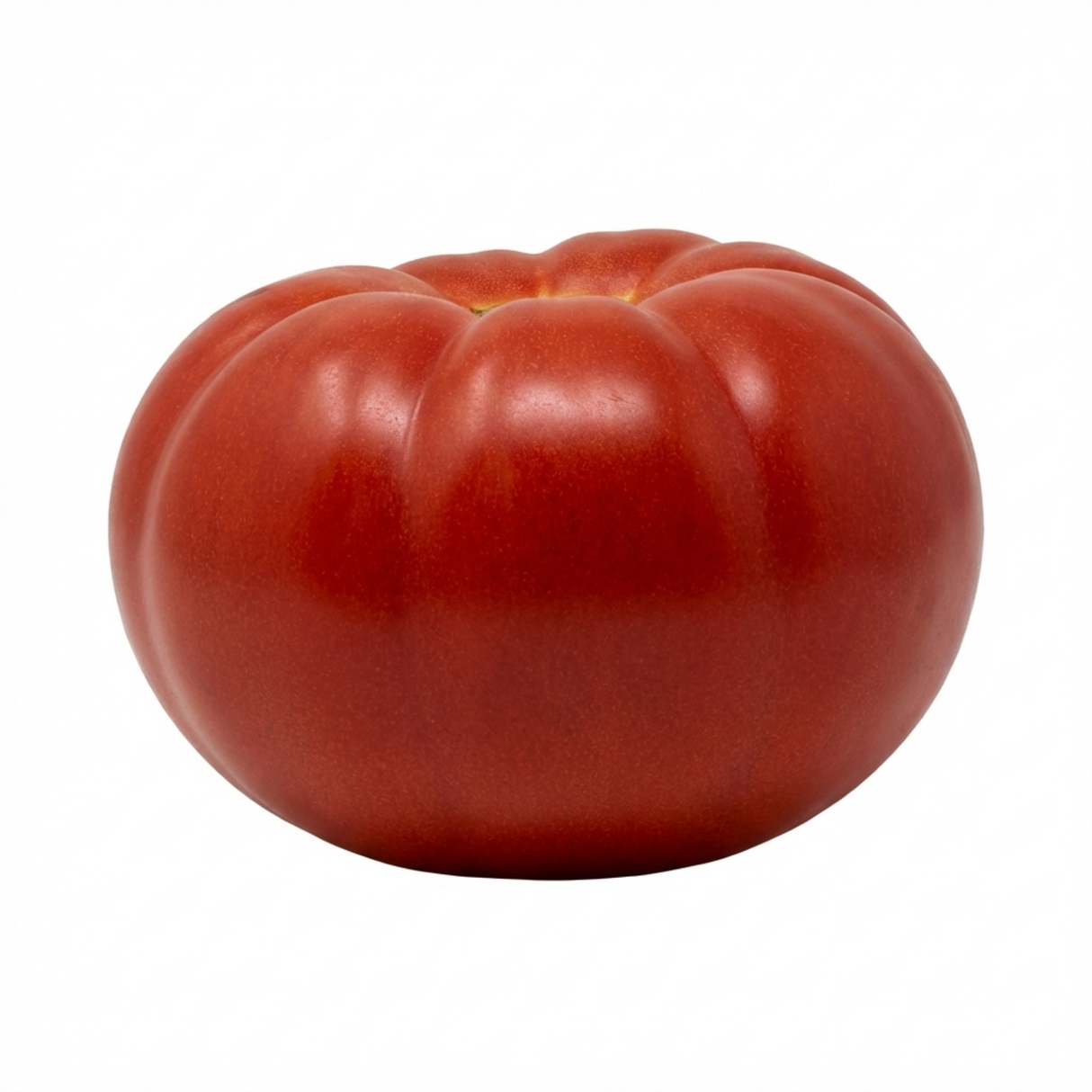 Set of 3 or 6 Large Plants - Tomato Supersteak Variety, Ready to Plant in Your Garden