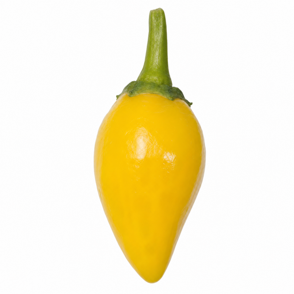 Chilli Pepper 25cm Hanging Basket, Peppers from Heaven, Pots