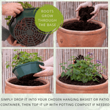 Herb Alfresco Mixed SpeedPlanter – 7 Fresh Culinary Herbs, Garden Ready - Frankton's