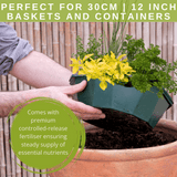 Herb Alfresco Mixed SpeedPlanter – 7 Fresh Culinary Herbs, Garden Ready - Frankton's