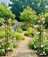 Paris Arch - Frankton's