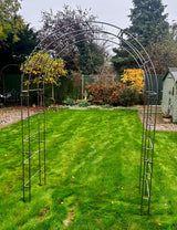 Paris Arch - Frankton's