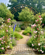 Paris Arch - Frankton's