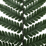 Set of 3 or 6 Dryopteris Atrata Wood Fern Plants, Hardy Evergreen Perennial Ferns for Shade, Outdoor Garden Ready, 1 Litre Root-Ball - Frankton's