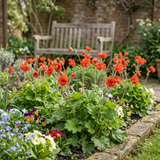 Set of 3 or 6 Geum Mrs Bradshaw Hardy Perennial Plants, Scarlet Red Double Cottage Garden Flowers, Outdoor Garden Ready, 1 Litre Root-Ball - Frankton's