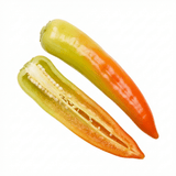 Set of 3 or 6 Large Chilli Pepper Plants - Hungarian Hot Wax, Ready to Plant in Your Garden - Frankton's