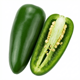 Set of 3 or 6 Large Chilli Pepper Plants - Jalapeno Variety, Ready to Plant in Your Garden - Frankton's