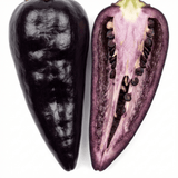 Set of 3 or 6 Large Chilli Pepper Plants - Zimbabwe Black, Ready to Plant in Your Garden - Frankton's