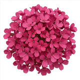 Set of 3 or 6 Large Plants - Arabis Barranca Deep Rose, Ready to Plant in Your Garden, 1L - Frankton's