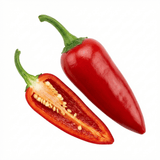 Set of 3 or 6 Large Plants - Grow Your Own Chilli Pepper Apache, Garden Ready - Frankton's