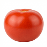 Set of 3 or 6 Large Plants - Tomato Alicante Variety, Ready to Plant in Your Garden - Frankton's