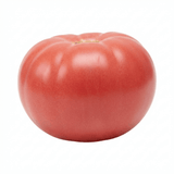 Set of 3 or 6 Large Plants - Tomato Brandy Boy Variety, Ready to Plant in Your Garden - Frankton's