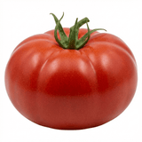 Set of 3 or 6 Large Plants - Tomato Bush Steak (Megabyte), Ready to Plant in Your Garden - Frankton's