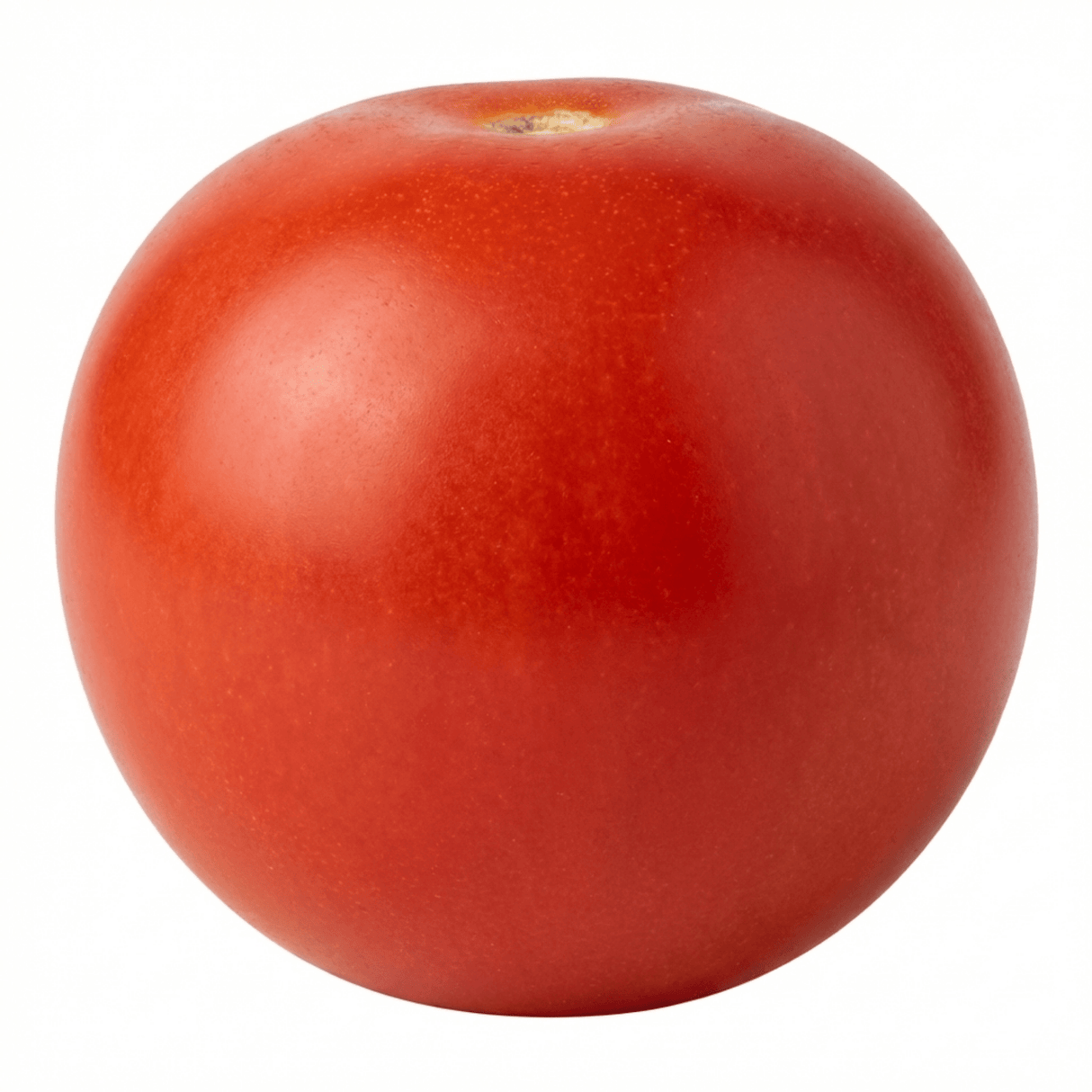 Set of 3 or 6 Large Plants - Tomato Crokini Variety, Ready to Plant in Your Garden - Frankton's