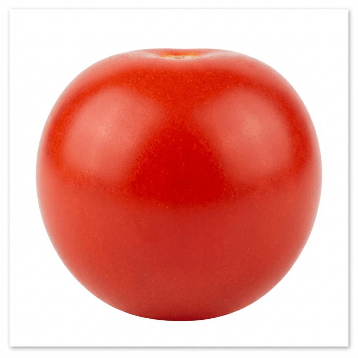 Set of 3 or 6 Large Plants - Tomato Gardeners Delight Variety, Ready to Plant in Your Garden - Frankton's