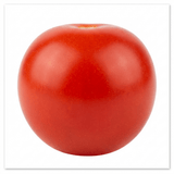 Set of 3 or 6 Large Plants - Tomato Gardeners Delight Variety, Ready to Plant in Your Garden - Frankton's