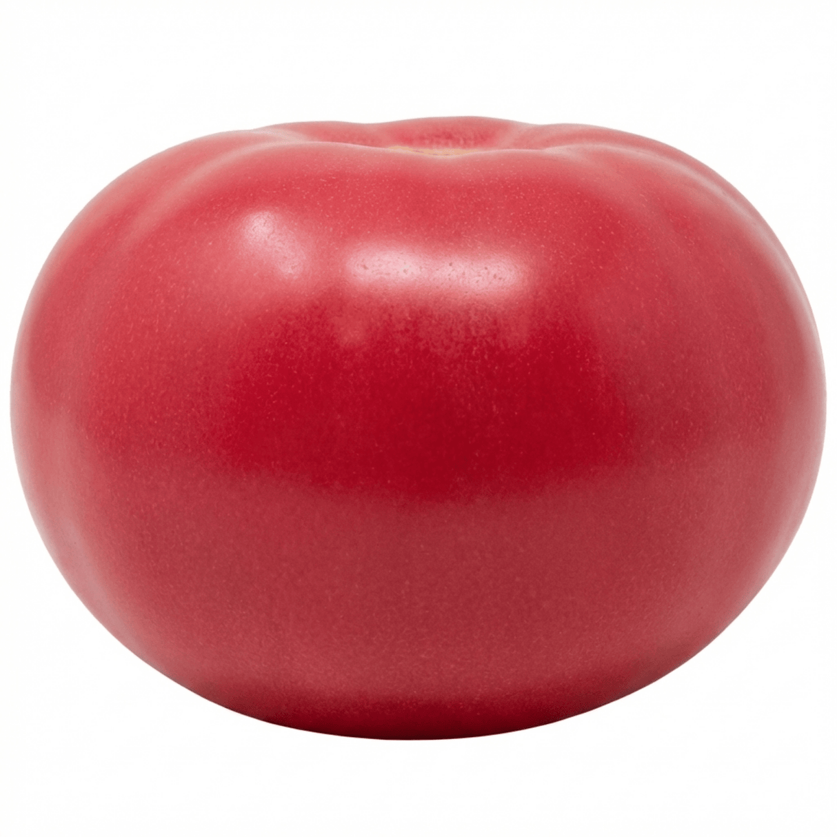 Set of 3 or 6 Large Plants - Tomato Rose Crush Variety, Ready to Plant in Your Garden - Frankton's