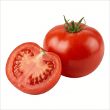 Set of 3 or 6 Patio Tomato Jo & Grace Plants, Live Tomato Seedlings, Outdoor Garden Ready, 1L Root Ball - Frankton's