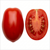 Set of 3 or 6 Premium Grafted Trilly Tomato Plants, High Yield Vegetable Plants, Ready to Plant, Outdoor Garden Ready, 1L Root Ball - Frankton's