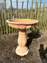 Terracotta Bird Bath - Frankton's