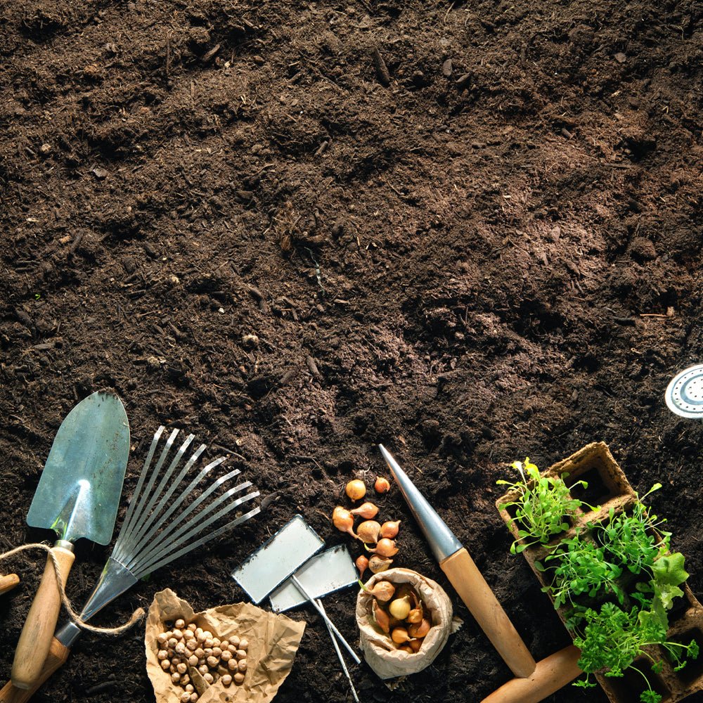 100% Peat Free Vegetable Blend Compost Bulk Bag UK Delivery – Frankton's