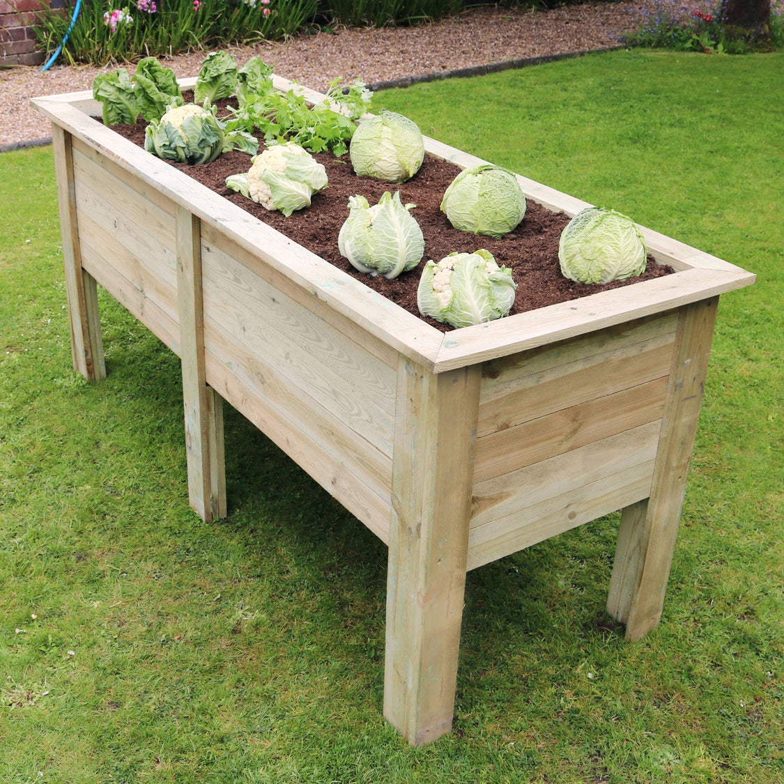 Zest Deep Root Planter 1.8M - Frankton's
