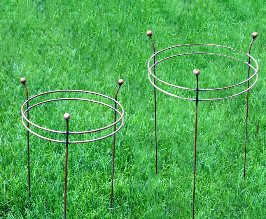 Poppy Forge Double Ring Plant Support Set of 2 - Frankton's