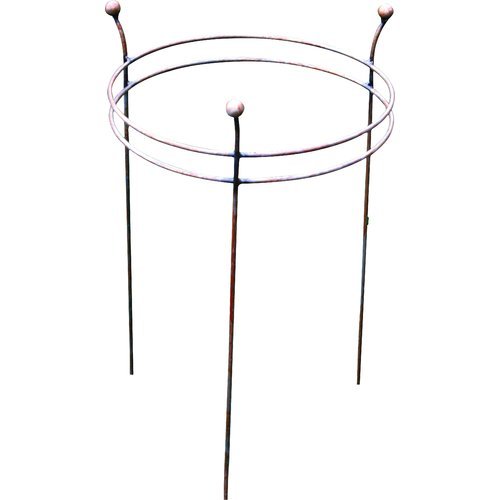 Double Ring Plant Support - Set of 2 - Frankton's