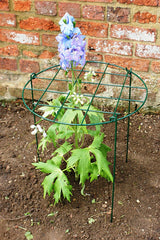 Grow Through Rings - Set of 4 with legs - Frankton's