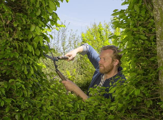 Hedge Clippers NatureCut - Frankton's
