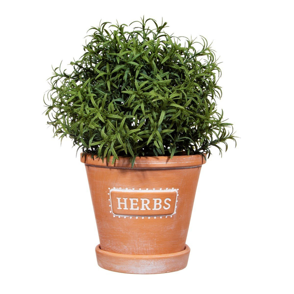 Herbs Terracotta Planter With Saucer - Frankton's