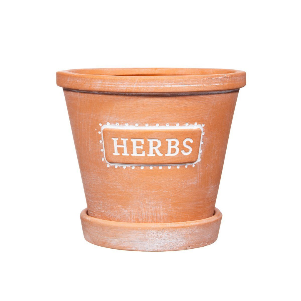 Herbs Terracotta Planter With Saucer - Frankton's