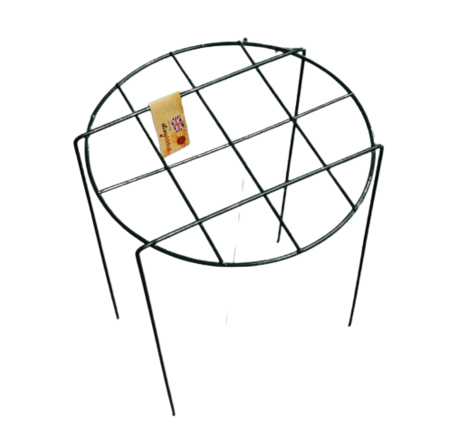 Poppy Forge - Mesh Plant Support Ring - Set of 4 Frankton's