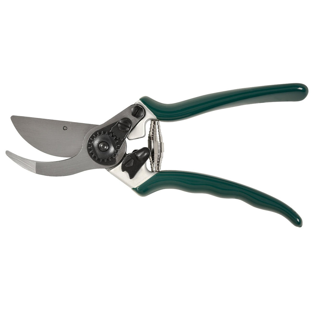 Professional Bypass Secateur - Frankton's