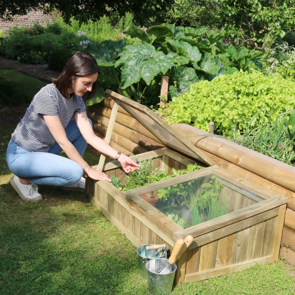 Small-Space Cold Frame - Frankton's
